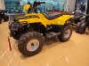 Квадроцикл IRBIS (Ирбис) ATV 200 LUX 2024 желтый с ПСМ - купить с доставкой, цены в интернет-магазине Мототека
