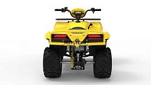 Квадроцикл IRBIS (Ирбис) ATV 250 2024 зелёный с ПСМ