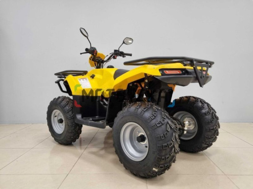 Квадроцикл IRBIS (Ирбис) ATV 200 LUX 2024 желтый с ПСМ фото 4 Квадроцикл IRBIS (Ирбис) ATV 200 LUX 2024 желтый с ПСМ фото 4