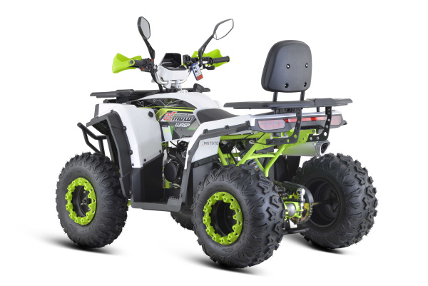 Квадроцикл FXMOTO (ФХмото) WASP 200 белый (машинокомплект) | Мототека