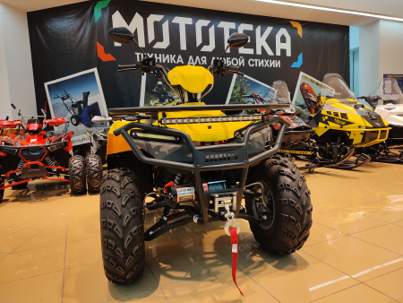 Квадроцикл IRBIS (Ирбис) ATV 200 LUX 2024 желтый с ПСМ - купить с доставкой, цены в интернет-магазине Мототека