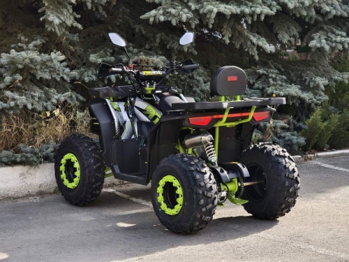 Квадроцикл R - MOTO (Р - Мото) Lion 200 X черный (машинокомплект) фото 24