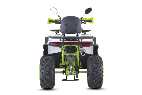Квадроцикл FXMOTO (ФХмото) WASP 200 белый (машинокомплект) | Мототека
