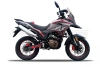 Мотоцикл кроссовый / эндуро ROCKOT (Рокот) DAKAR (Дакар) 250 (171YMM. серый/красный. ЭПТС) - купить с доставкой, по выгодной цене в интернет-магазине Мототека