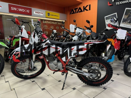 Мотоцикл кроссовый / эндуро ROCKOT (Рокот) R5X Rampage (300cc, ZS175FMM (CB300F), 21/18) фото 9