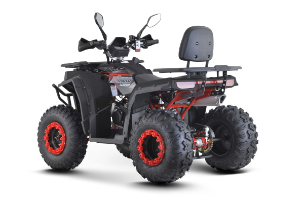 Квадроцикл FXMOTO (ФХМото) WASP 200 LUX чёрный (машинокомплект) | Мототека