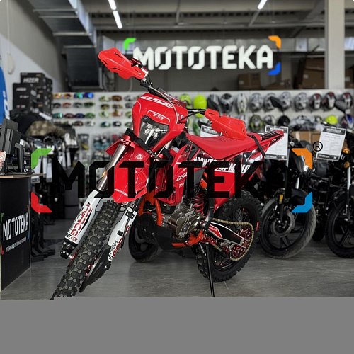 Сезон 2025! Мотоцикл кроссовый / эндуро BSE (БСЕ) T9 Red Arrow (TYX300SR)