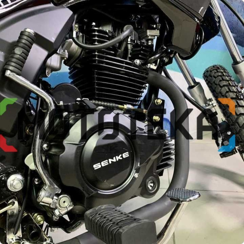 Мотоцикл кроссовый / эндуро Regulmoto (Регулмото) SK 200 - 9 чёрный с ПТС фото 2