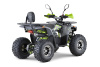 Квадроцикл подростковый FXMOTO (ФХМото) PIKE 150 зеленый (машинокомплект) - купить с доставкой, цены в интернет-магазине Мототека