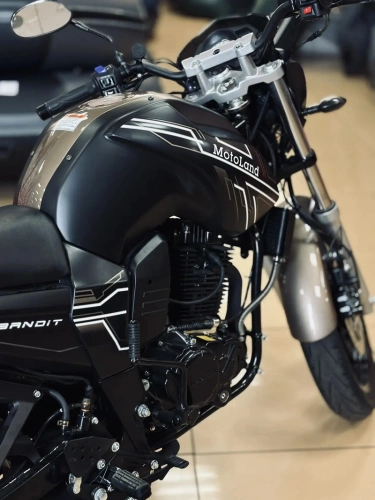 Мотоцикл дорожный MotoLand (Мотолэнд) BANDIT 300 коричневый с ПТС фото 12