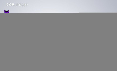 Мотоцикл кроссовый / эндуро Sanchez (Санчез) Maniac PR300 фото 2