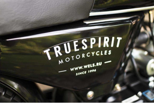 Мотоцикл Wels (Велс) TrueSpirit 110 фото 14