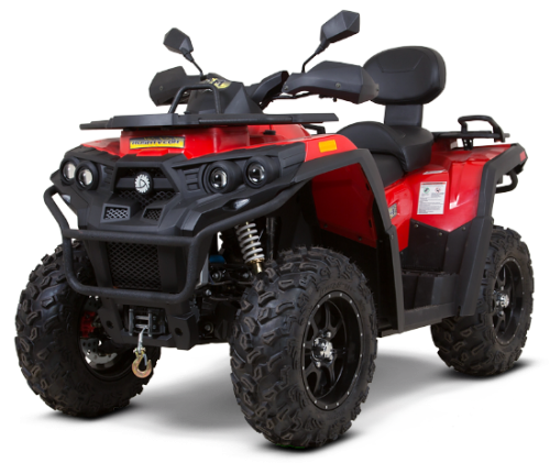 Квадроцикл RM 800 (машинокомплект) Квадроцикл RM 800 (машинокомплект)