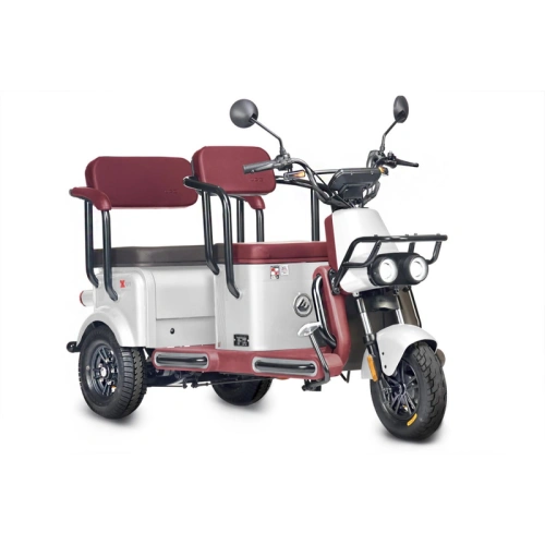 Электротрицикл Wanshida U1-X 60V 800Вт