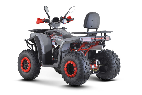 Квадроцикл FXMOTO (ФХМото) WASP 200 LUX серый (машинокомплект) | Мототека