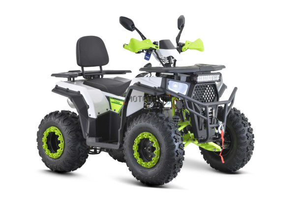 Квадроцикл FXMOTO (ФХмото) WASP 200 белый (машинокомплект) | Мототека