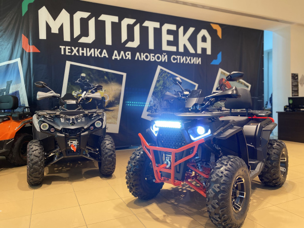 Квадроцикл FXMOTO (ФХмото) WASP 250 чёрный (машинокомплект) | Мототека