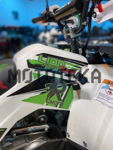 Квадроцикл детский R - MOTO (Р - Мото) Lion 125 A lite белый (машинокомплект) фото 5
