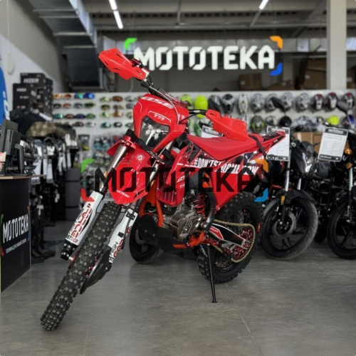 Мотоцикл кроссовый / эндуро BSE (БСЕ) T9 Red Arrow (TYX300SR) фото 14
