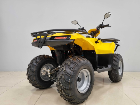 Квадроцикл IRBIS (Ирбис) ATV 200 LUX 2024 желтый с ПСМ - купить с доставкой, цены в интернет-магазине Мототека