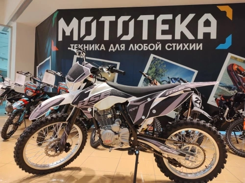 Мотоцикл кроссовый / эндуро BSE (БСЕ) Z3.00 21/18 Thorn Grey/Black