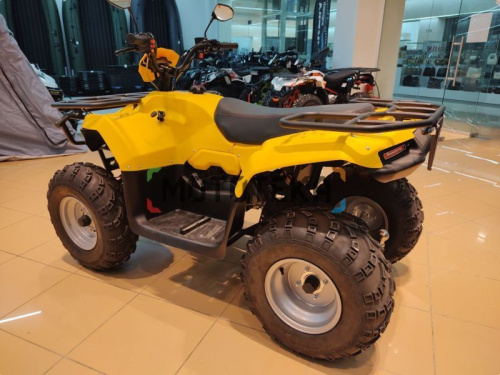 Квадроцикл IRBIS (Ирбис) ATV 200 LUX 2024 желтый с ПСМ фото 31 Квадроцикл IRBIS (Ирбис) ATV 200 LUX 2024 желтый с ПСМ фото 31