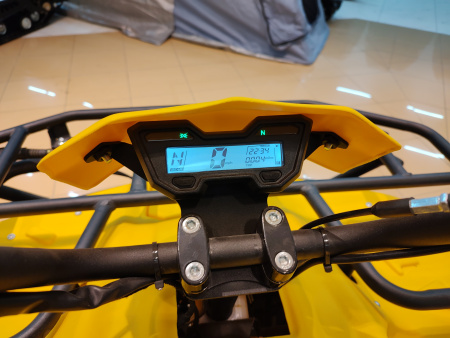 Квадроцикл IRBIS (Ирбис) ATV 200 LUX 2024 желтый с ПСМ - купить с доставкой, цены в интернет-магазине Мототека