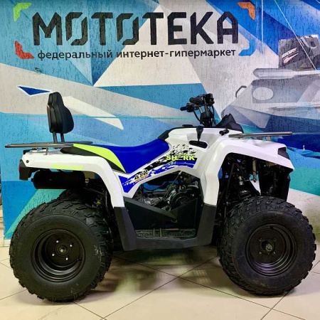 Квадроцикл MotoLand (Мотолэнд) VOX200 SHARK (баланс. вал) (машинокомплект) - купить с доставкой, цены в интернет-магазине Мототека
