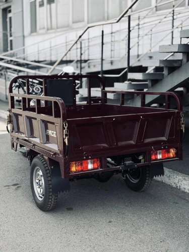 Трицикл грузовой Racer (Рейсер) RC200ZH Muravei с ПСМ фото 6