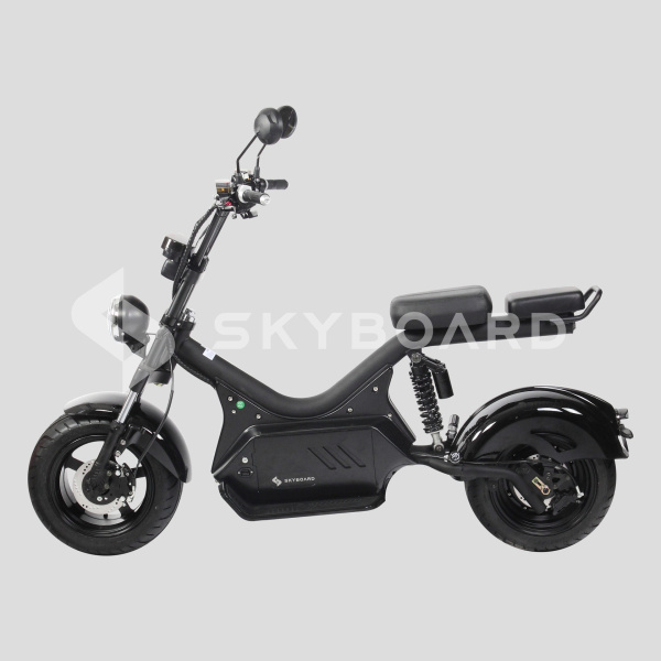 Электроскутер SKYBOARD (Скайборд) BR50 - 3000 (Baikal) | Мототека