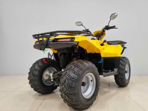 Квадроцикл IRBIS (Ирбис) ATV 200 LUX 2024 желтый с ПСМ фото 6 Квадроцикл IRBIS (Ирбис) ATV 200 LUX 2024 желтый с ПСМ фото 6