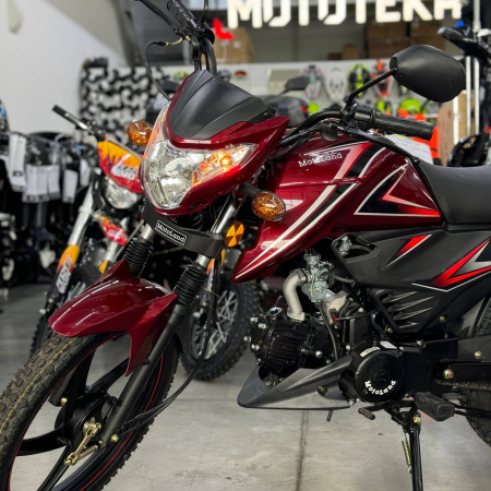 Мопед MotoLand (Мотолэнд) Альфа RF 11 48 (110) красный - купить с доставкой, по выгодной цене в интернет-магазине Мототека