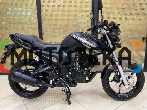 Мотоцикл дорожный MotoLand (Мотолэнд) BANDIT 250 Коричневый с ПТС фото 10