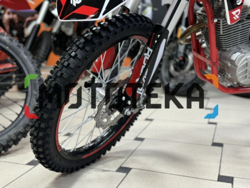 Мотоцикл кроссовый / эндуро ROCKOT (Рокот) R5X Rampage (300cc, ZS175FMM (CB300F), 21/18) фото 5