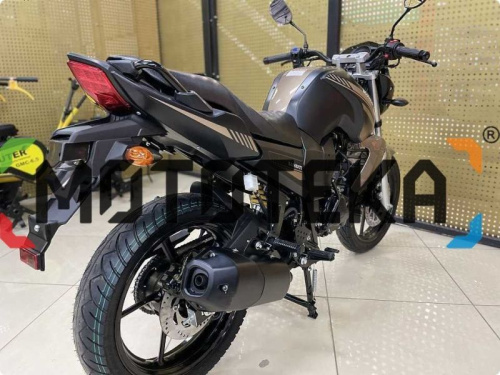 Мотоцикл дорожный MotoLand (Мотолэнд) BANDIT 250 Коричневый с ПТС фото 20