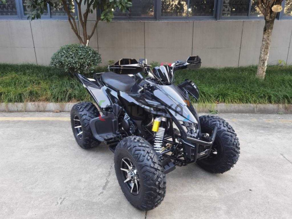Квадроцикл Мотомир ATV SPORTY 250 чёрный карбон (машинокомплект) | Мототека