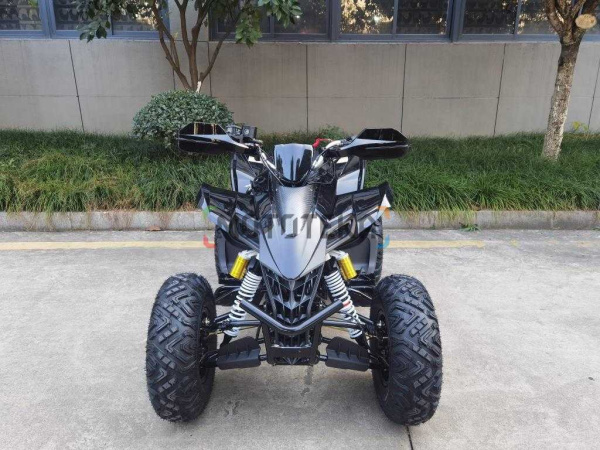 Квадроцикл Мотомир ATV SPORTY 250 чёрный карбон (машинокомплект) | Мототека