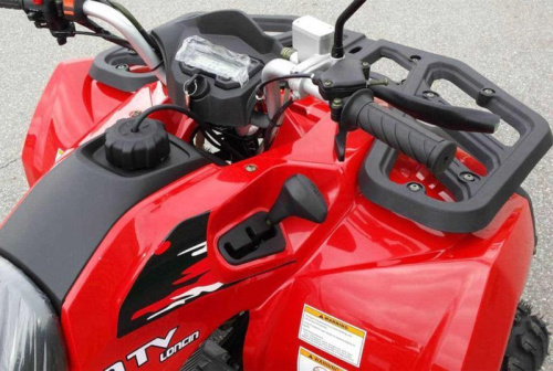 Квадроцикл WELS (Велс) ATV Bison (машинокомплект) фото 4 Квадроцикл WELS (Велс) ATV Bison (машинокомплект) фото 4