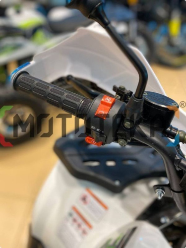 Квадроцикл детский R - MOTO (Р - Мото) Lion 125 A lite белый (машинокомплект) фото 3