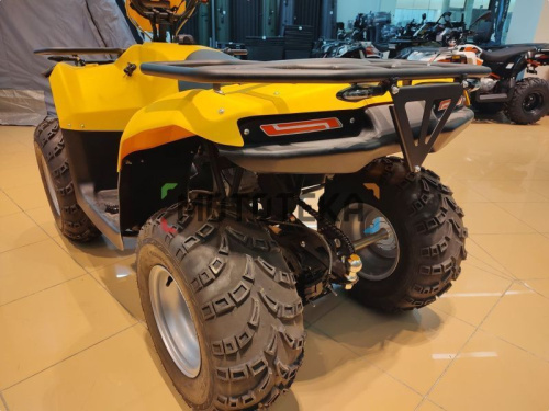 Квадроцикл IRBIS (Ирбис) ATV 200 LUX 2024 желтый с ПСМ фото 30 Квадроцикл IRBIS (Ирбис) ATV 200 LUX 2024 желтый с ПСМ фото 30