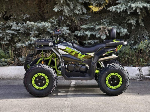 Квадроцикл R - MOTO (Р - Мото) Lion 200 X черный (машинокомплект) фото 4