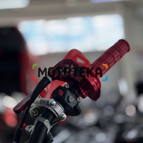 Мотоцикл кроссовый / эндуро BSE (БСЕ) T9 Red Arrow (TYX300SR) фото 7