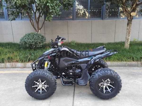 Квадроцикл Мотомир ATV SPORTY 250 чёрный карбон (машинокомплект) | Мототека