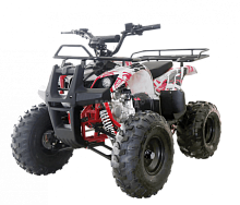 Квадроцикл детский WELS (Велс) ATV Thunder 125 (машинокомплект)