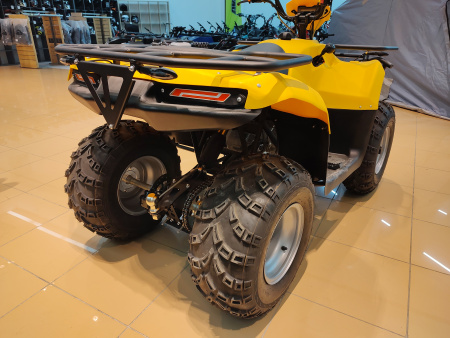 Квадроцикл IRBIS (Ирбис) ATV 200 LUX 2024 желтый с ПСМ - купить с доставкой, цены в интернет-магазине Мототека