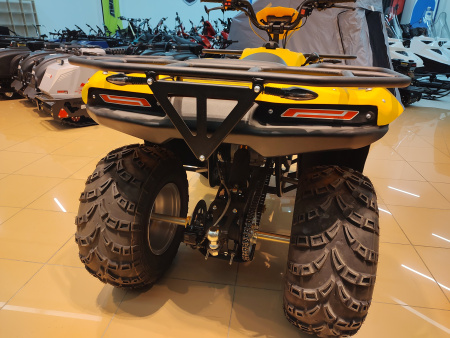 Квадроцикл IRBIS (Ирбис) ATV 200 LUX 2024 желтый с ПСМ - купить с доставкой, цены в интернет-магазине Мототека