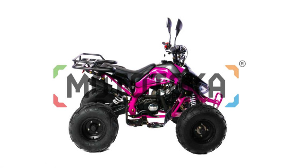 Квадроцикл детский Motax (Мотакс) ATV T - Rex LUX 125 (машинокомплект) чёрный/фиолетовая рама | Мототека