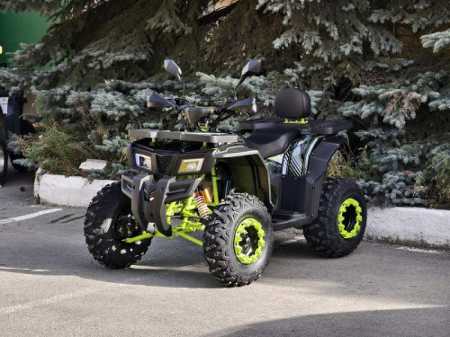 Квадроцикл R - MOTO (Р - Мото) Lion 200 X черный (машинокомплект) фото 3