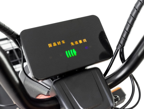 Электроскутер Regulmoto (Регулмото) Saige 350W 48V20AH коричневый фото 2