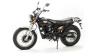 Мотоцикл дорожный MotoLand (Мотолэнд) V - RAPTOR 250 (2020) с ПТС